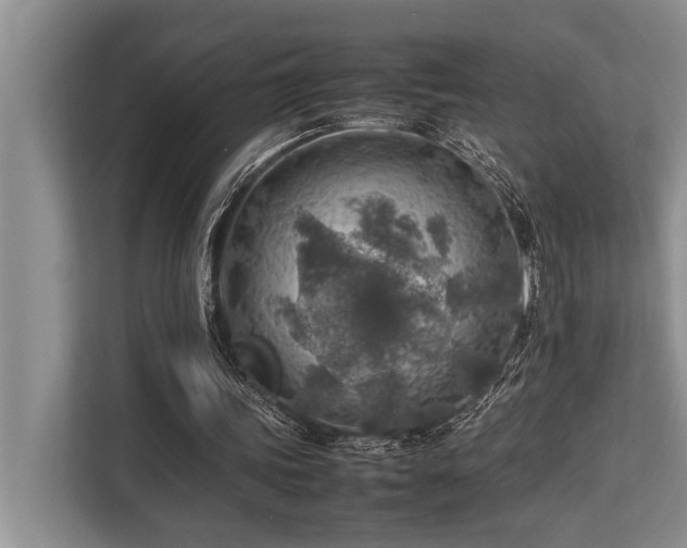 X0000113640339200909181501