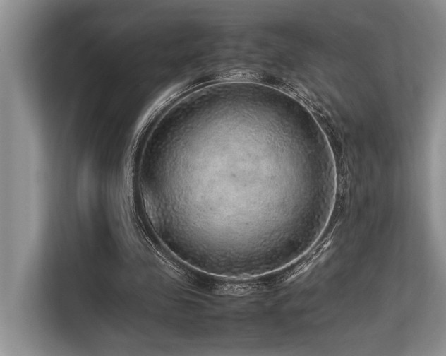 X0000113640341200909181501