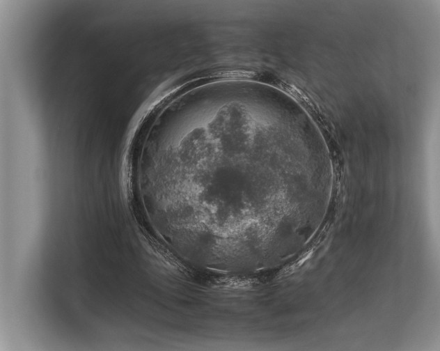 X0000113640343200909181501