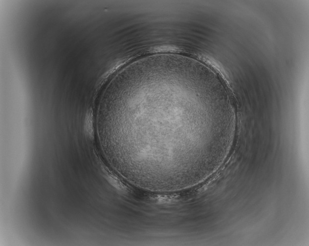 X0000113640345200909181501