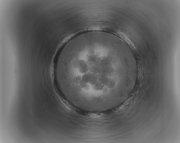 X0000113640346200909181501