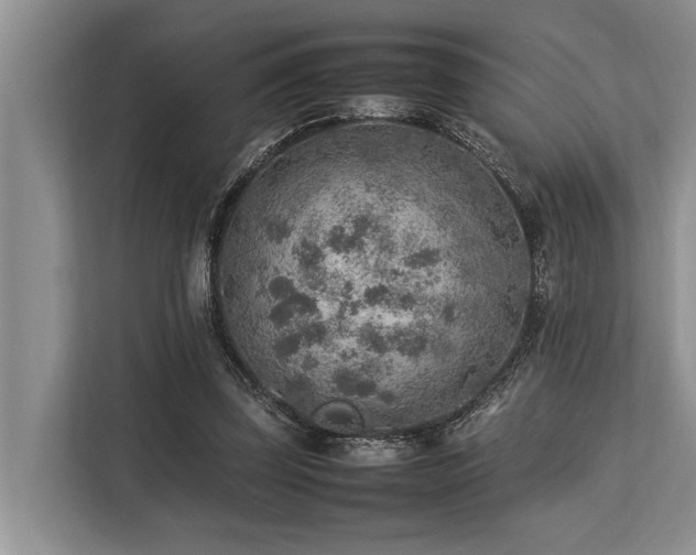 X0000113640347200909181501