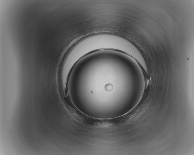 X0000113640348200909181501