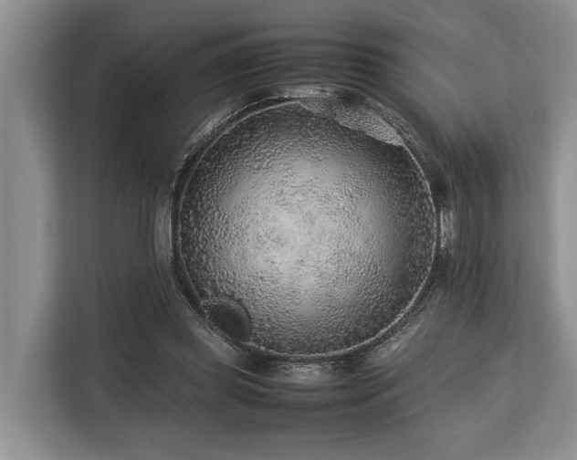 X0000113640349200909181501