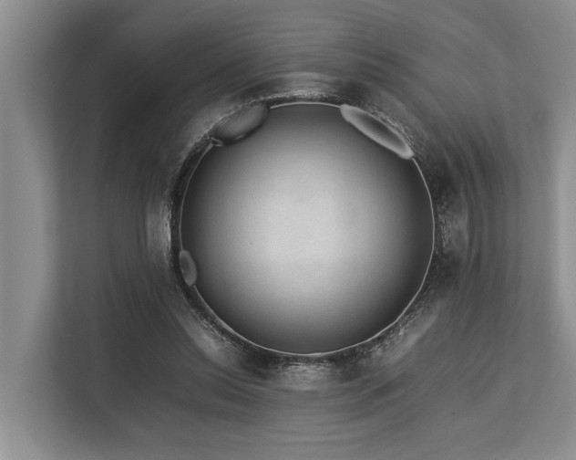 X0000113640350200909181501