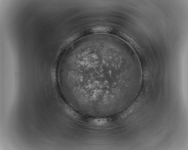 X0000113640353200909181501