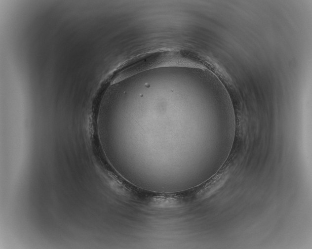 X0000113640354200909181501