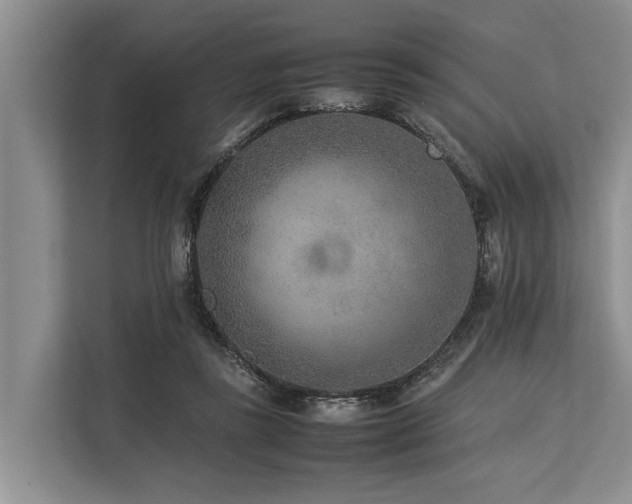 X0000113640355200909181501