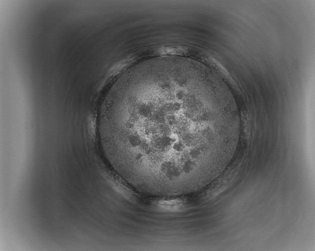 X0000113640357200909181501