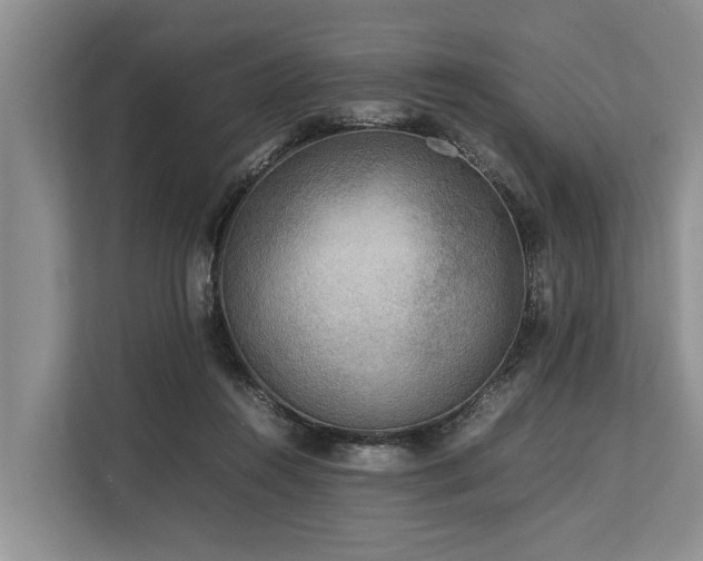 X0000113640360200909181501