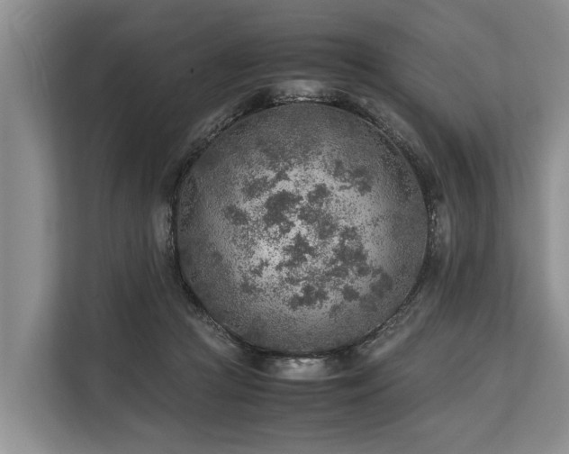 X0000113640361200909181501