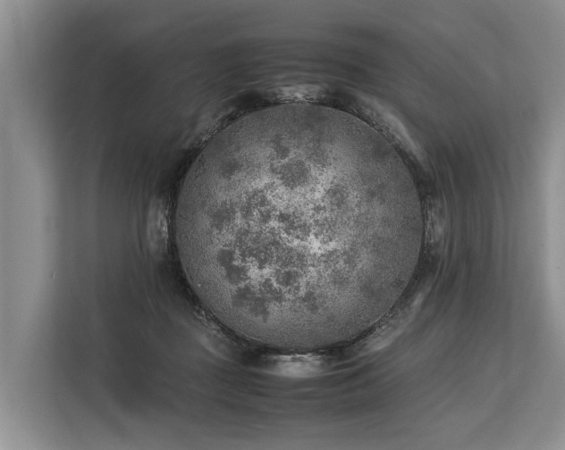 X0000113640363200909181501