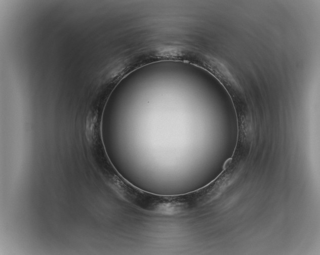 X0000113640364200909181501