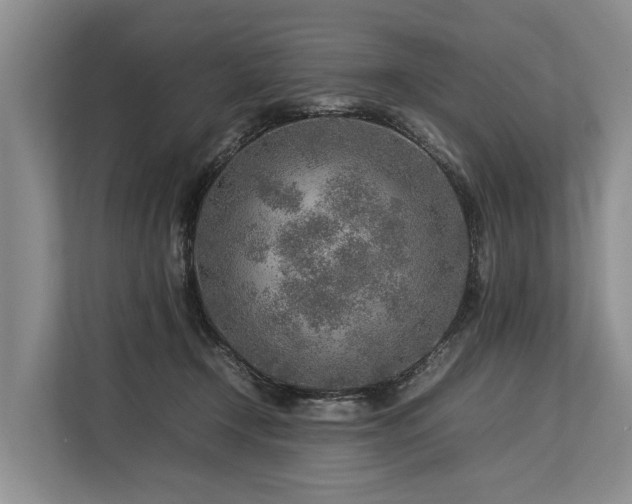 X0000113640366200909181501