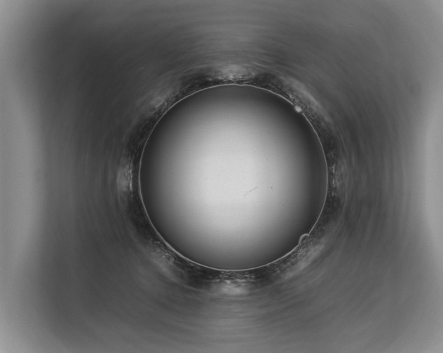 X0000113640368200909181501