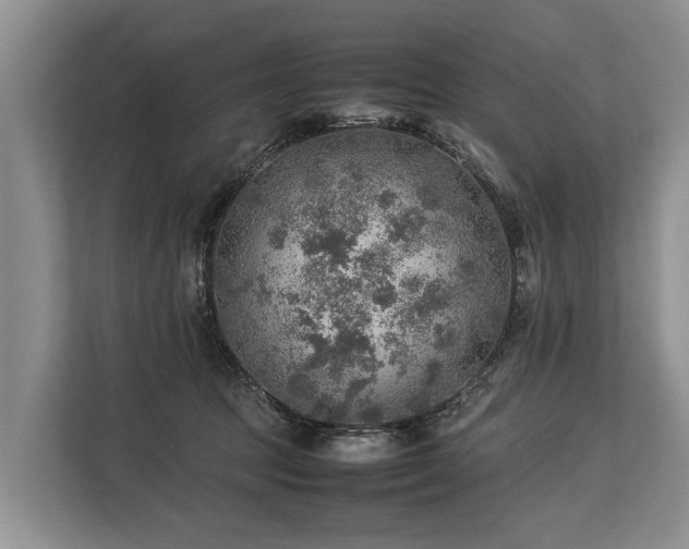 X0000113640369200909181501