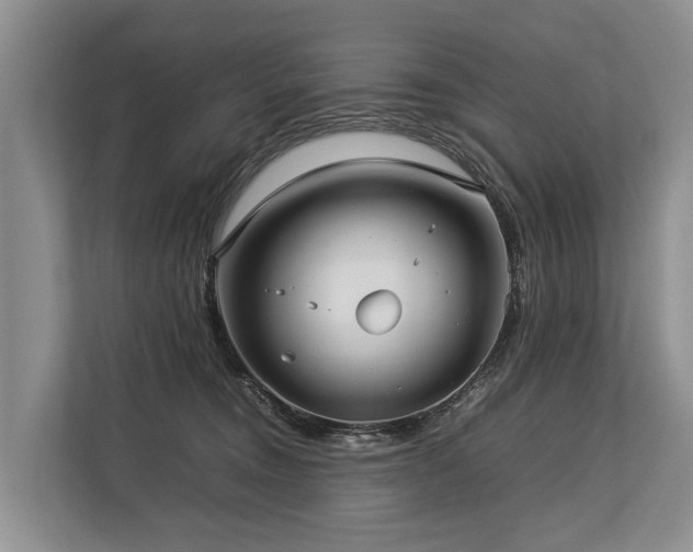 X0000113640372200909181501