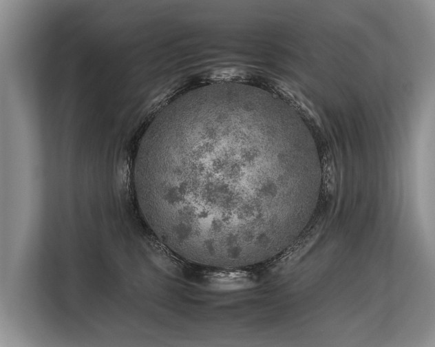 X0000113640375200909181501