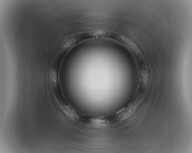 X0000113640380200909181501