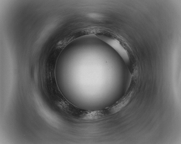 X0000113640382200909181501