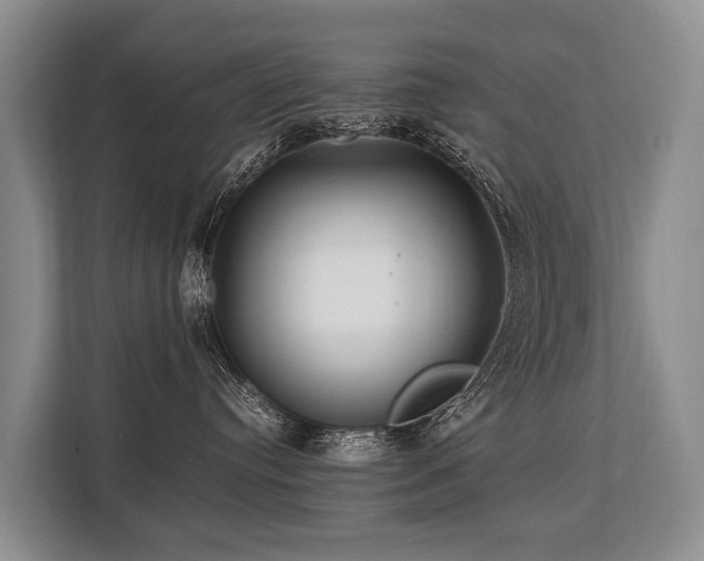 X0000113640384200909181501