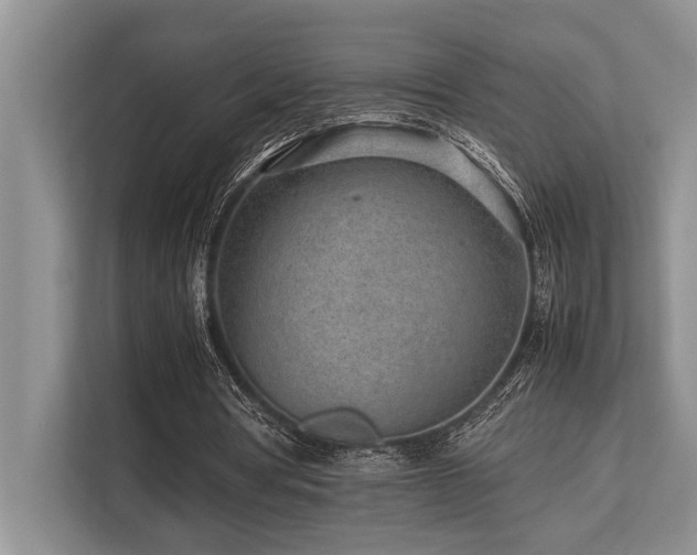 X0000113640386200909181501