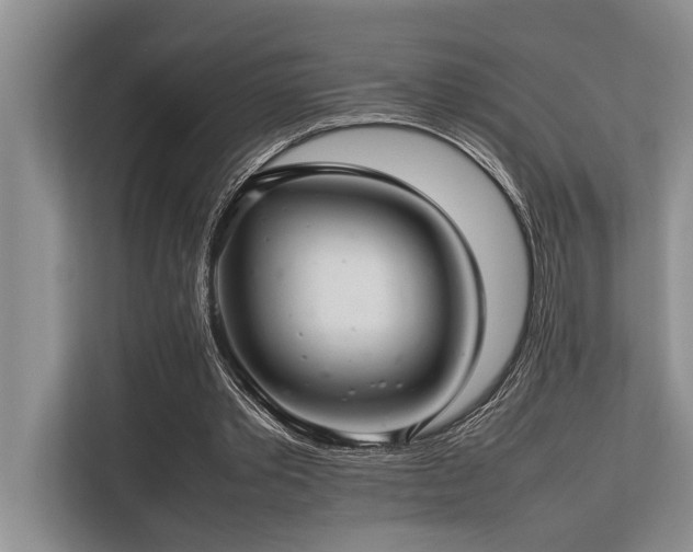 X0000113640389200909181501