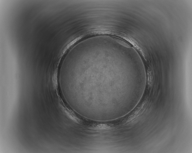 X0000113640390200909181501