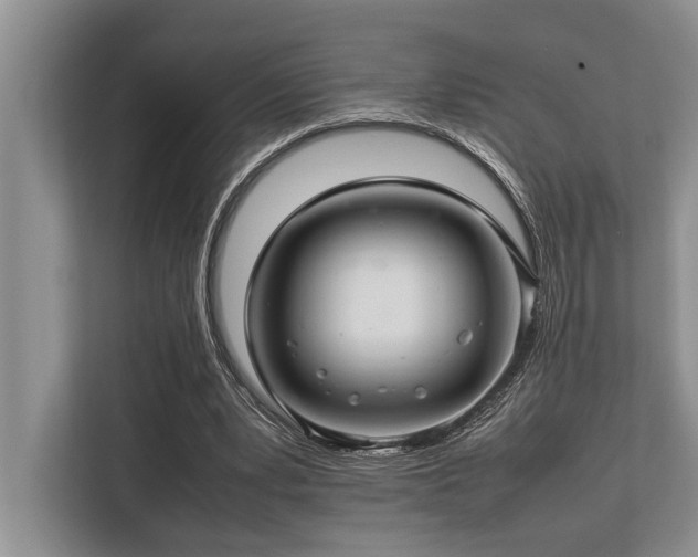 X0000113640391200909181501