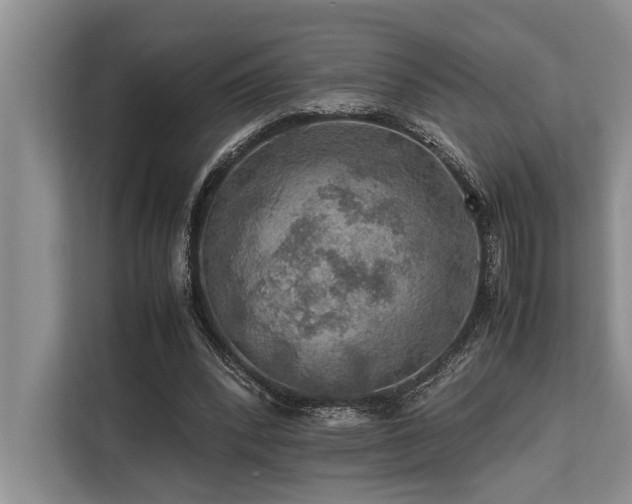 X0000113640392200909181501