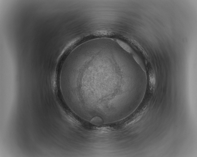 X0000113640396200909181501