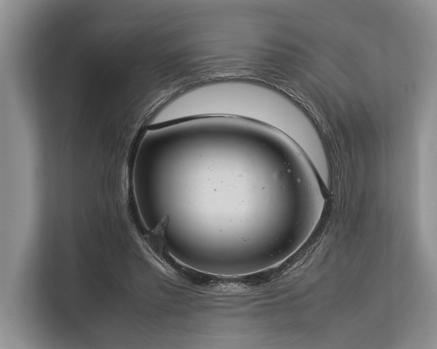 X0000113640397200909181501