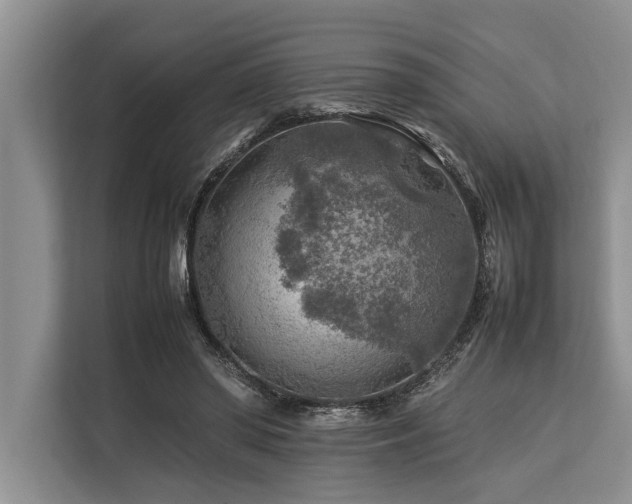 X0000113640398200909181501