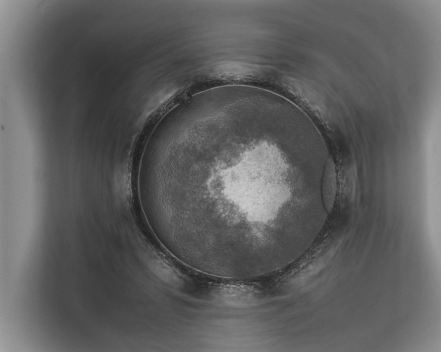 X0000113640399200909181501