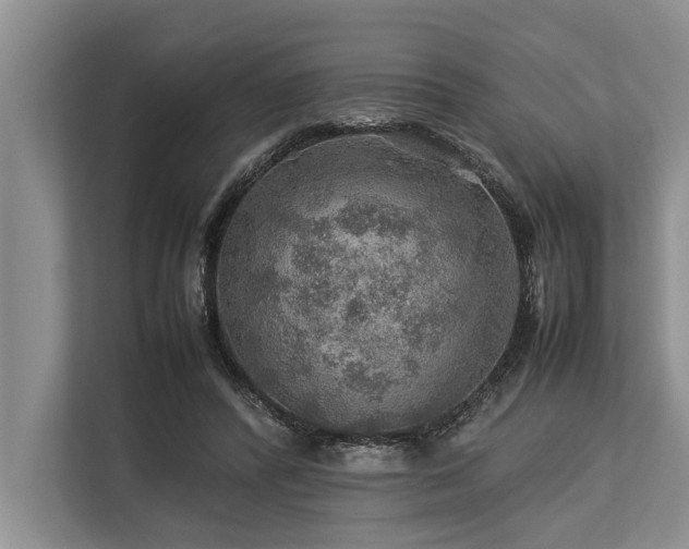 X0000113640400200909181501