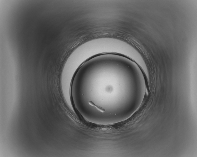 X0000113640401200909181501