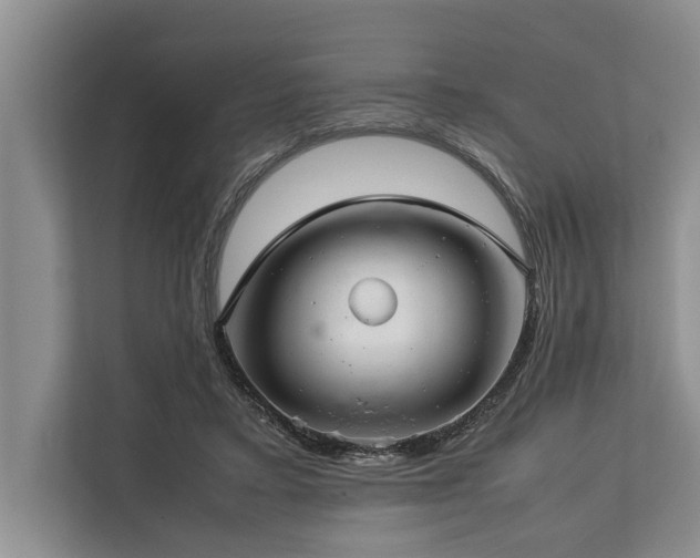 X0000113640403200909181501