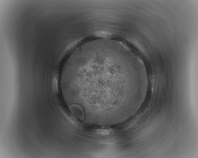 X0000113640404200909181500