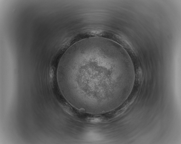 X0000113640412200909181500