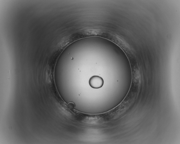 X0000113640414200909181500