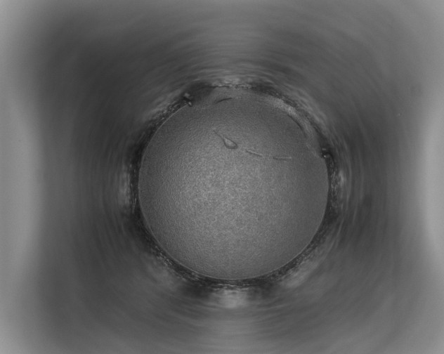 X0000113640416200909181500