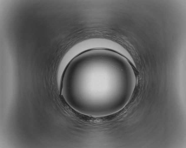 X0000113640419200909181500