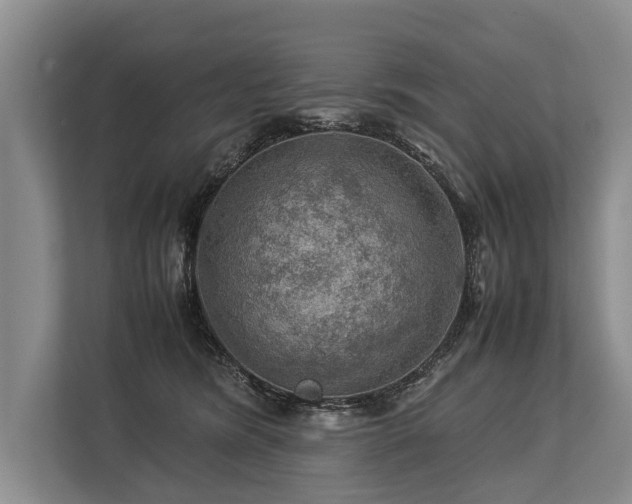 X0000113640420200909181500