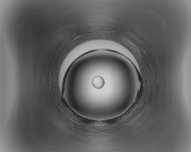 X0000113640421200909181500