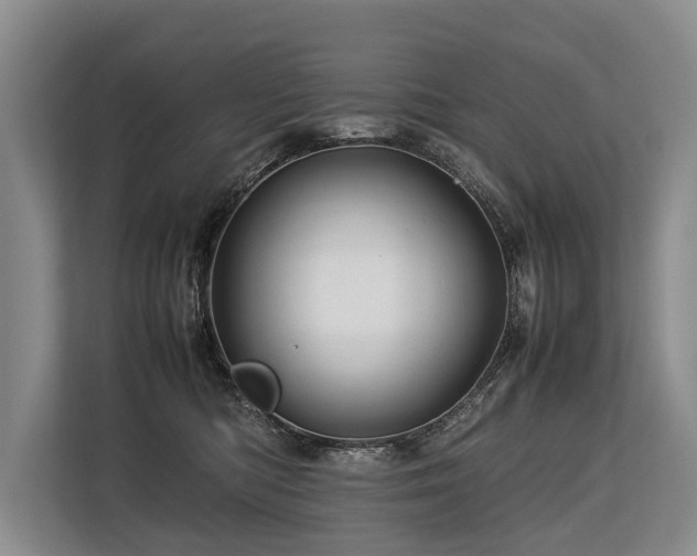 X0000113640422200909181500