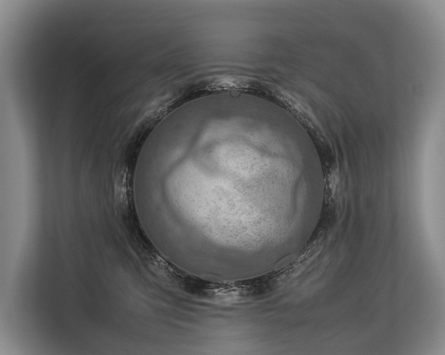 X0000113640423200909181500