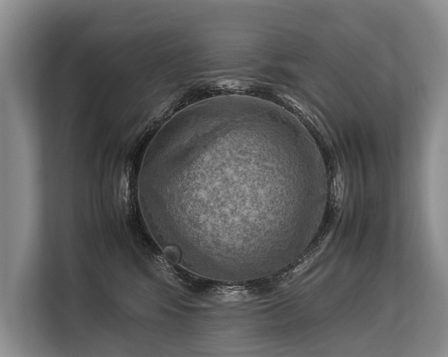 X0000113640424200909181500