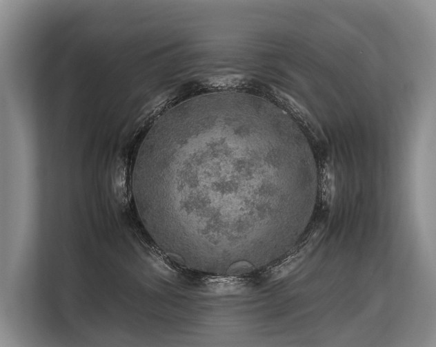 X0000113640428200909181500