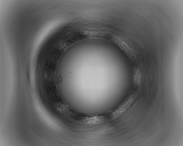 X0000113640430200909181500