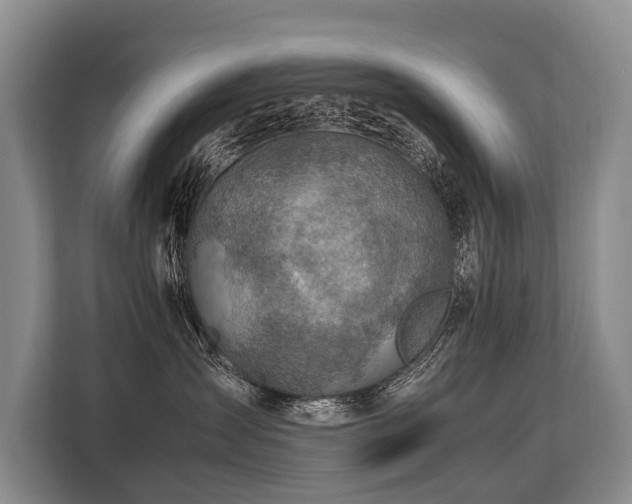 X0000113640431200909181500